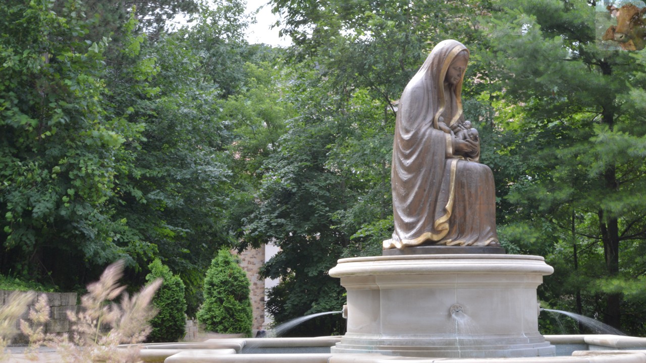 shrineofourladyofguadalupelax