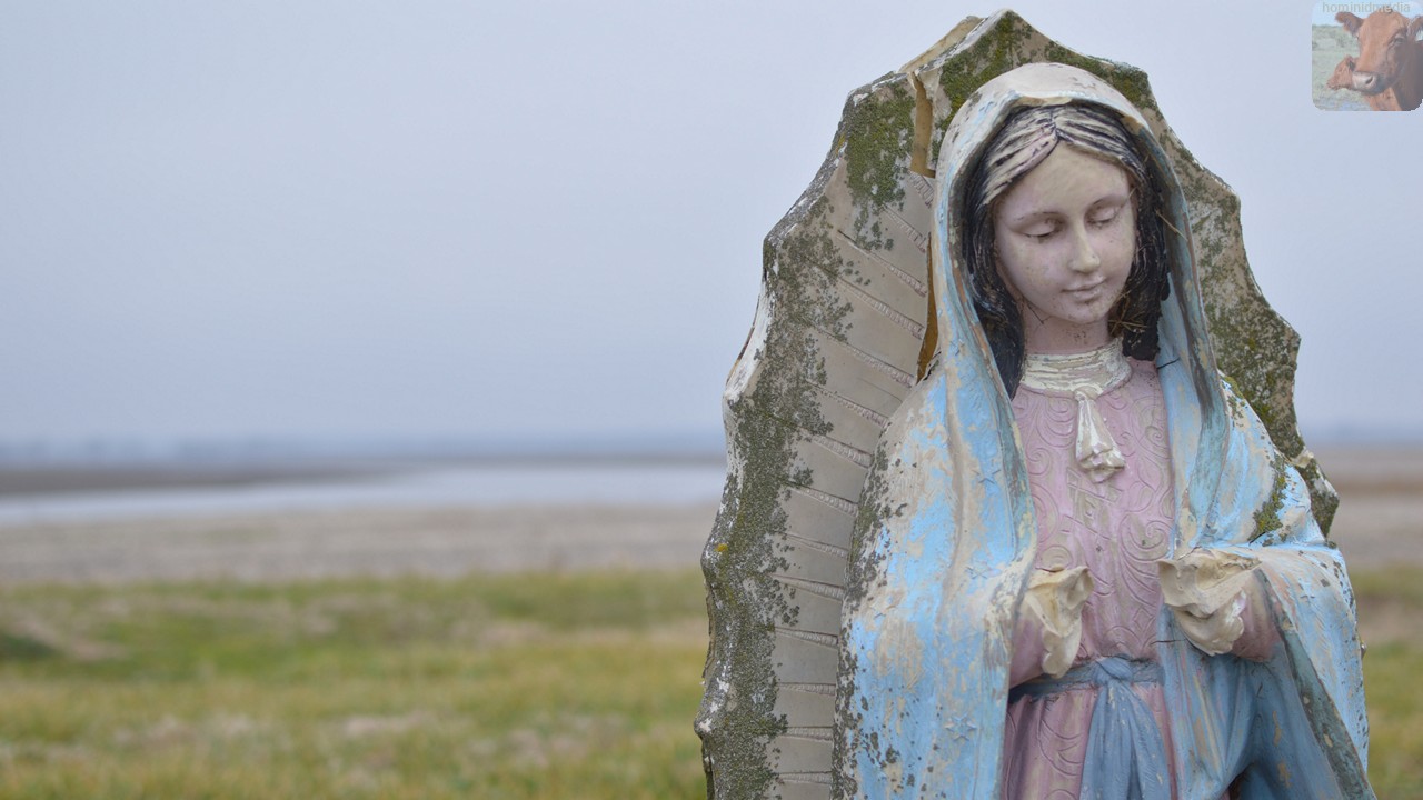 immaculateconceptionkaskaskia1