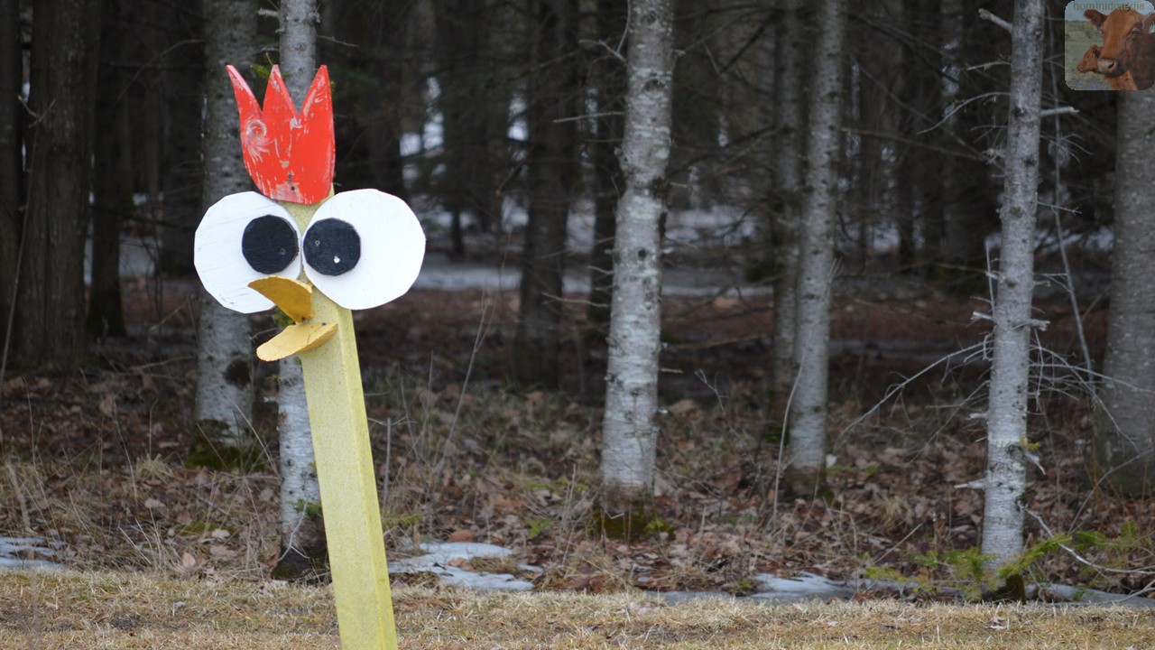 Bird Feeder / Loretta