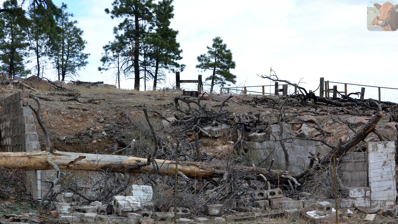 Picketwire Lightning / Piss Up A Rope