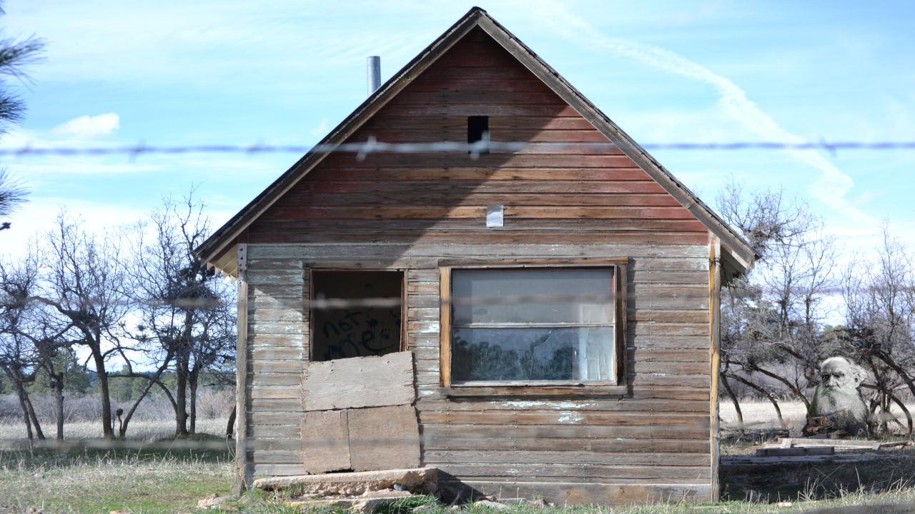 dead city dust bowl (feat. Russian realism and American surplus)