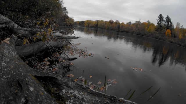 Wi River at Camp 10