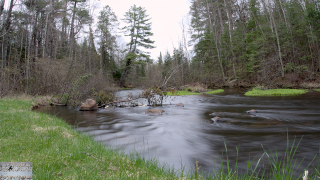 Bearskin Creek