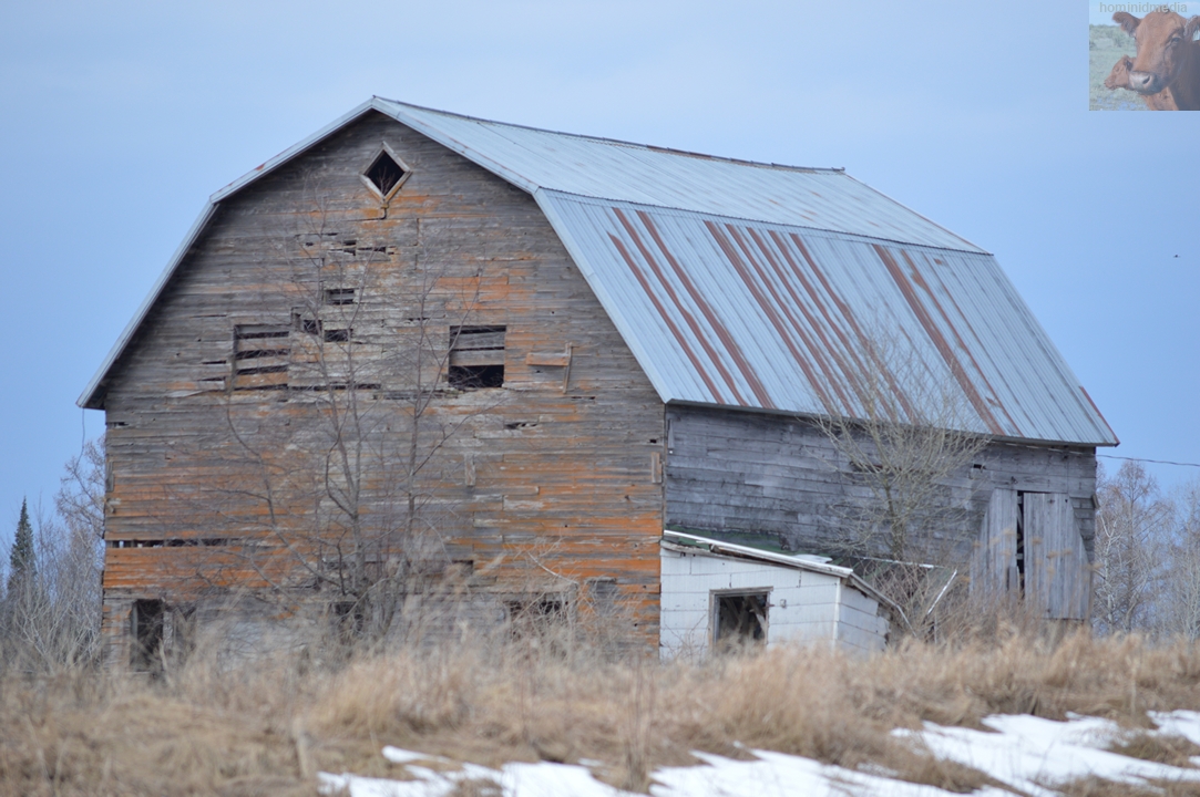 homes004