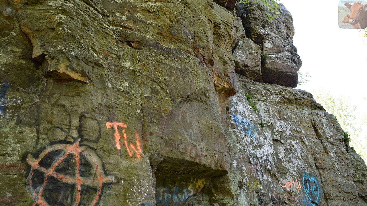 rocks