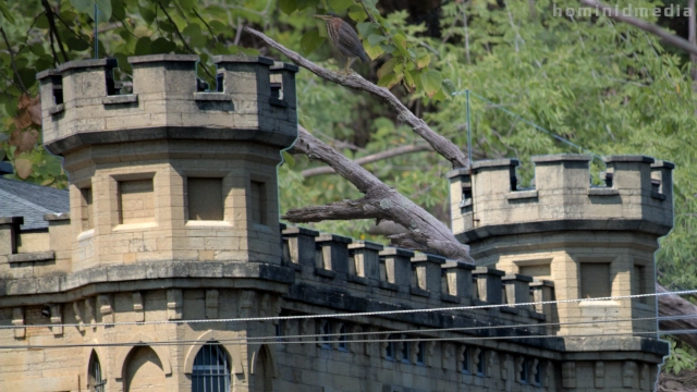 Waupun Dam